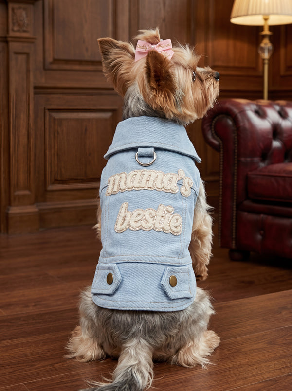 Luxus Hundejacke