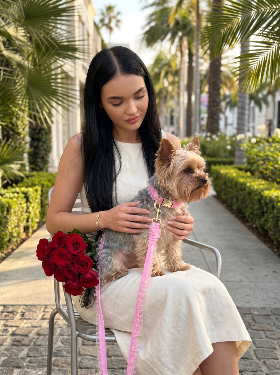 Royal
Roses
