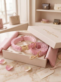 Personalisierbares Luxus Hundehalsband + Leine Set Rosa Rüschen mit Namensgravur | ExklusivePet